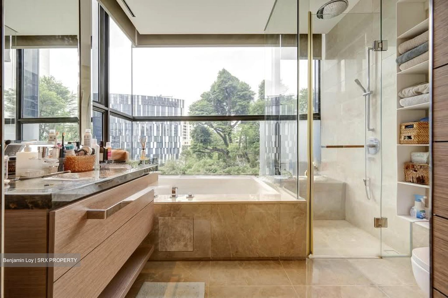 One Balmoral (D10), Condominium #533776681